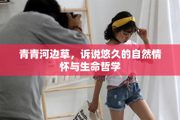 青青河边草，诉说悠久的自然情怀与生命哲学
