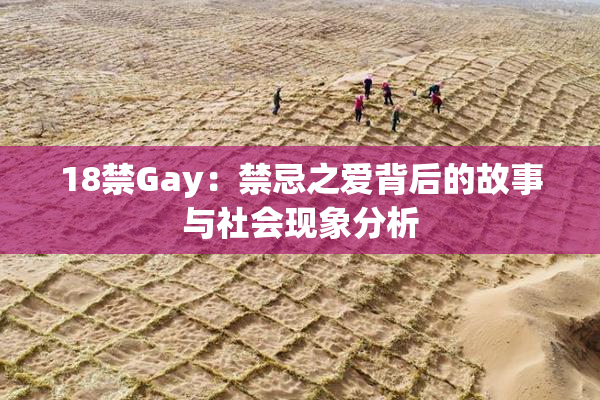 18禁Gay：禁忌之爱背后的故事与社会现象分析