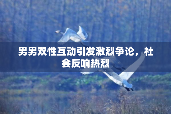 男男双性互动引发激烈争论，社会反响热烈