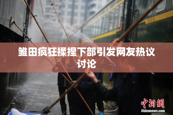 雏田疯狂揉捏下部引发网友热议讨论