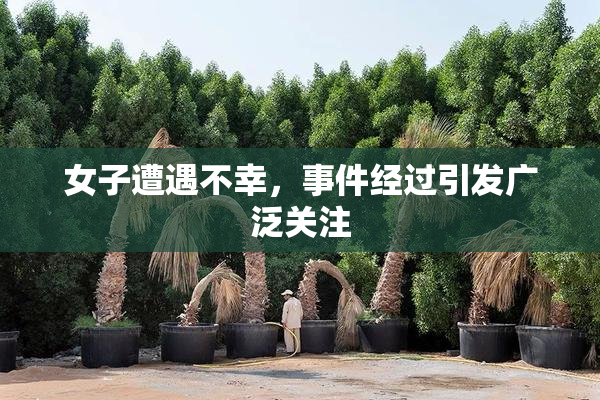 女子遭遇不幸，事件经过引发广泛关注