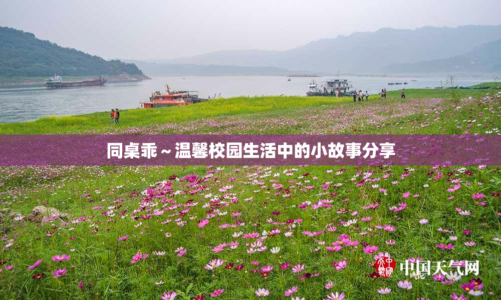 同桌乖～温馨校园生活中的小故事分享