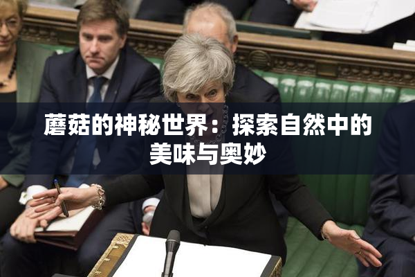 蘑菇的神秘世界：探索自然中的美味与奥妙