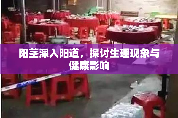 阳茎深入阳道，探讨生理现象与健康影响