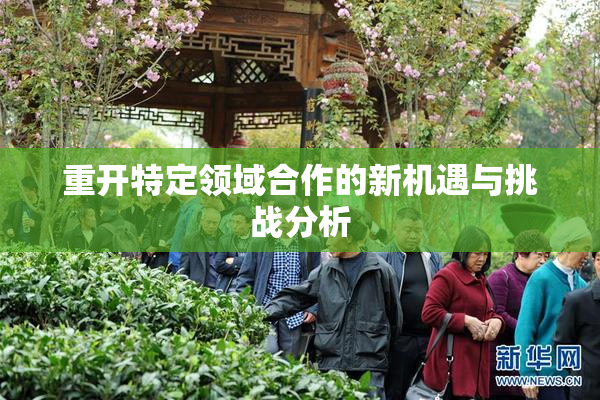 重开特定领域合作的新机遇与挑战分析