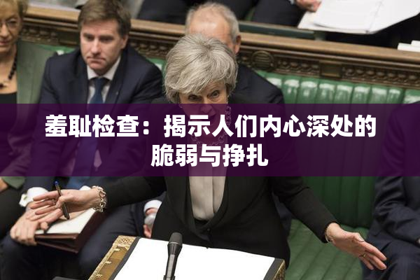 羞耻检查：揭示人们内心深处的脆弱与挣扎