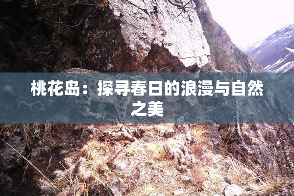 桃花岛：探寻春日的浪漫与自然之美
