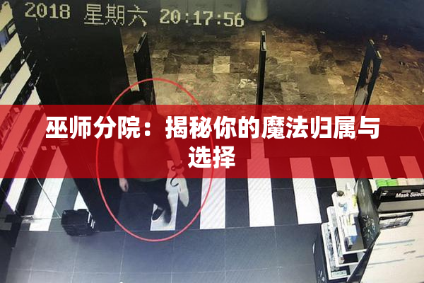 巫师分院：揭秘你的魔法归属与选择