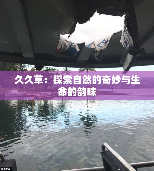 久久草：探索自然的奇妙与生命的韵味