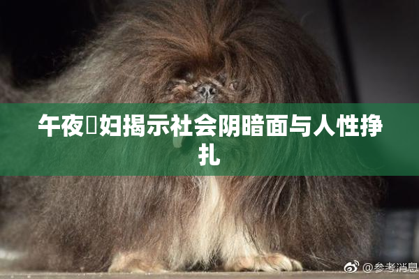 午夜婬妇揭示社会阴暗面与人性挣扎