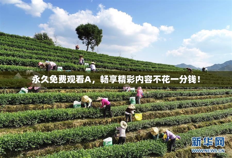 永久免费观看A，畅享精彩内容不花一分钱！