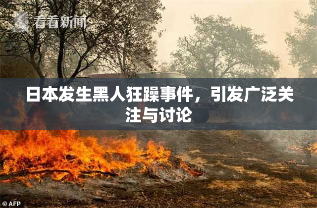 日本发生黑人狂躁事件，引发广泛关注与讨论