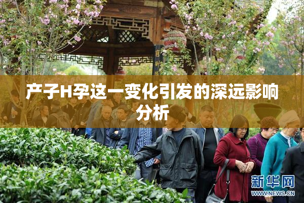 产子H孕这一变化引发的深远影响分析