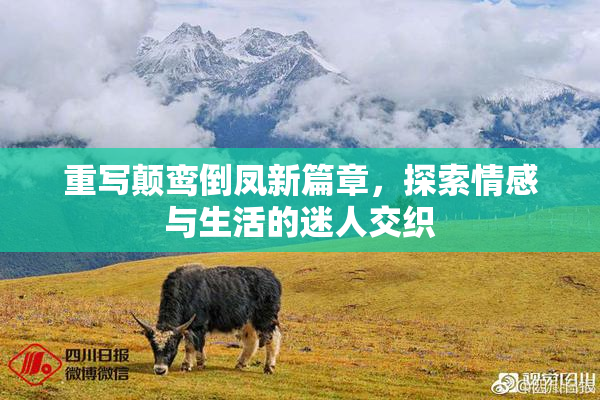 重写颠鸾倒凤新篇章，探索情感与生活的迷人交织