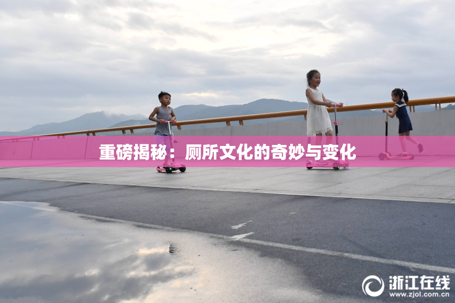 重磅揭秘：厕所文化的奇妙与变化