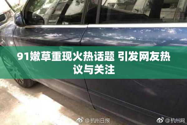 91嫩草重现火热话题 引发网友热议与关注
