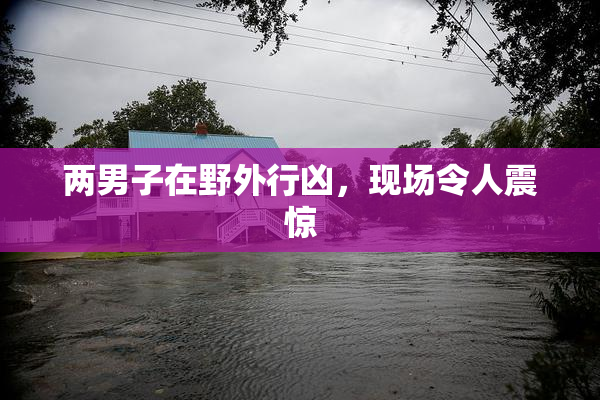 两男子在野外行凶，现场令人震惊
