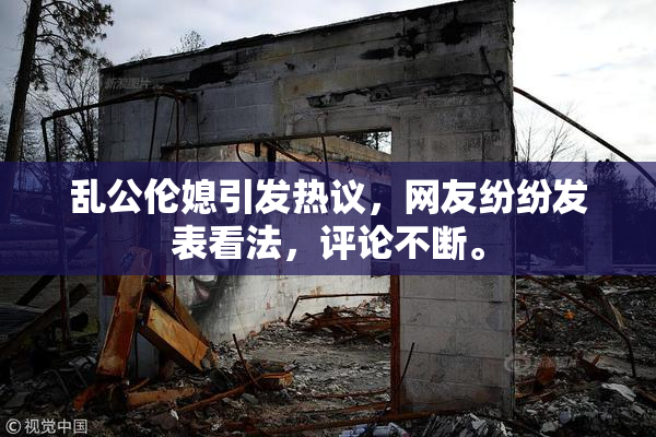 乱公伦媳引发热议，网友纷纷发表看法，评论不断。
