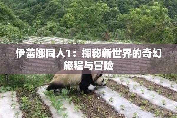 伊蕾娜同人1：探秘新世界的奇幻旅程与冒险