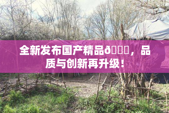 全新发布国产精品🈚，品质与创新再升级！