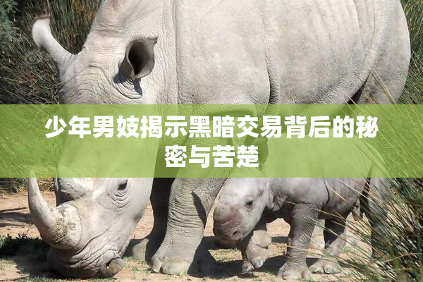 少年男妓揭示黑暗交易背后的秘密与苦楚