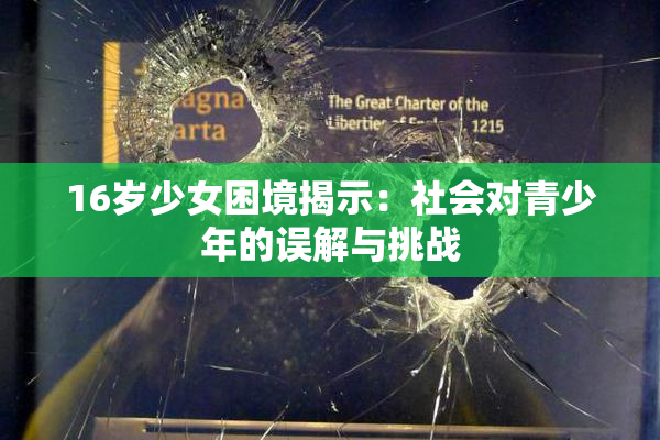 16岁少女困境揭示：社会对青少年的误解与挑战
