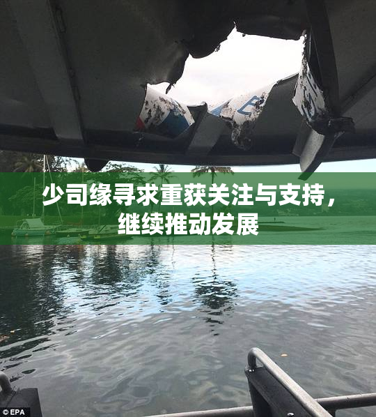 少司缘寻求重获关注与支持，继续推动发展