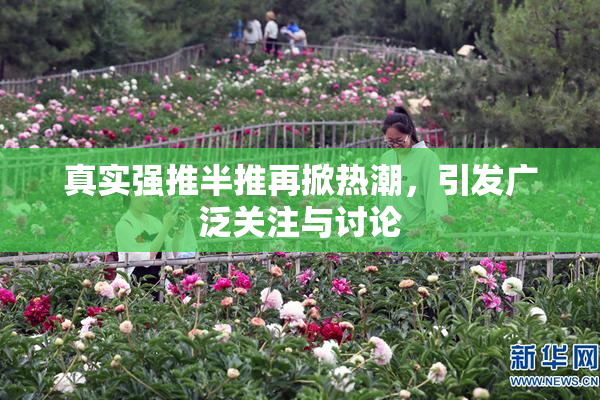 真实强推半推再掀热潮，引发广泛关注与讨论