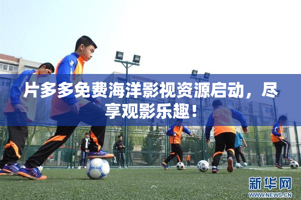 片多多免费海洋影视资源启动，尽享观影乐趣！