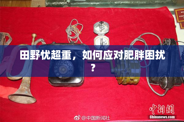 田野忧超重，如何应对肥胖困扰？