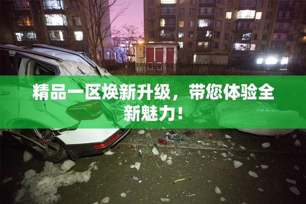 精品一区焕新升级，带您体验全新魅力！