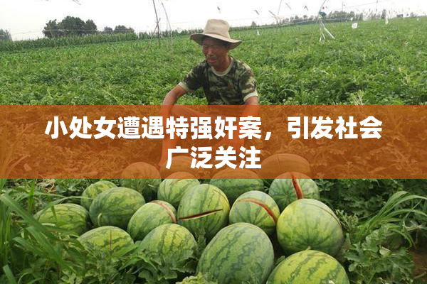 小处女遭遇特强奸案，引发社会广泛关注