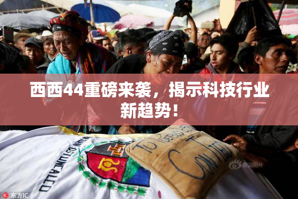 西西44重磅来袭，揭示科技行业新趋势！