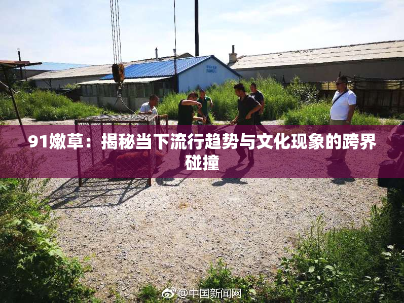 91嫩草：揭秘当下流行趋势与文化现象的跨界碰撞