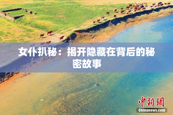 女仆扒秘：揭开隐藏在背后的秘密故事