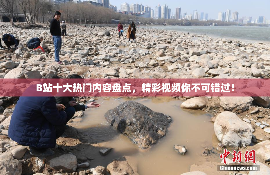 B站十大热门内容盘点，精彩视频你不可错过！