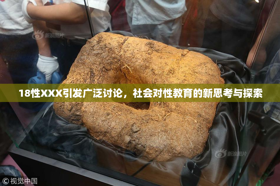 18性XXX引发广泛讨论，社会对性教育的新思考与探索