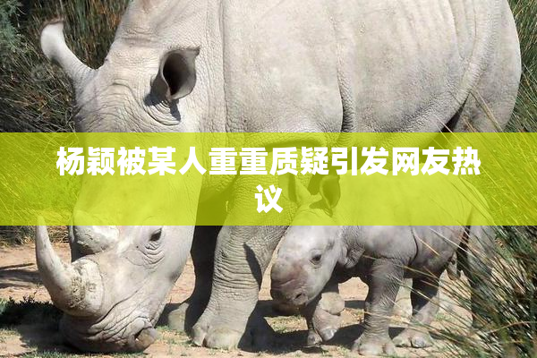 杨颖被某人重重质疑引发网友热议