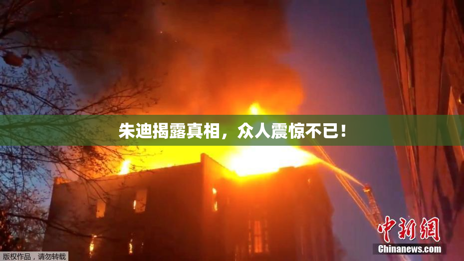 朱迪揭露真相，众人震惊不已！