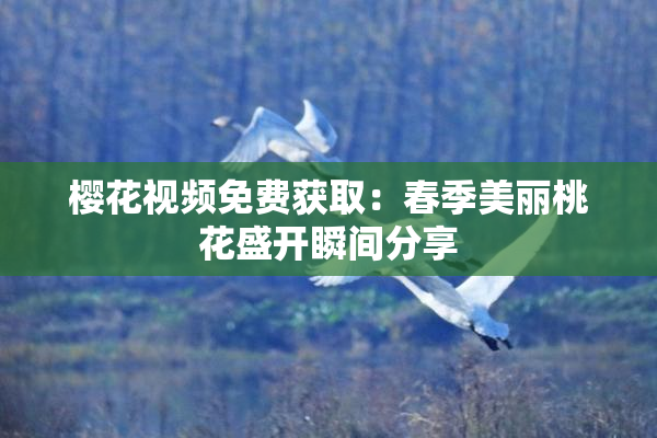 樱花视频免费获取：春季美丽桃花盛开瞬间分享