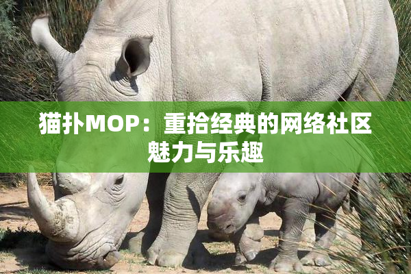 猫扑MOP：重拾经典的网络社区魅力与乐趣