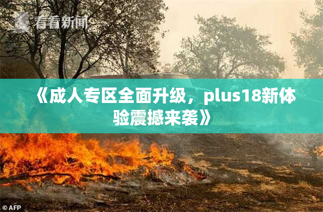 《成人专区全面升级，plus18新体验震撼来袭》