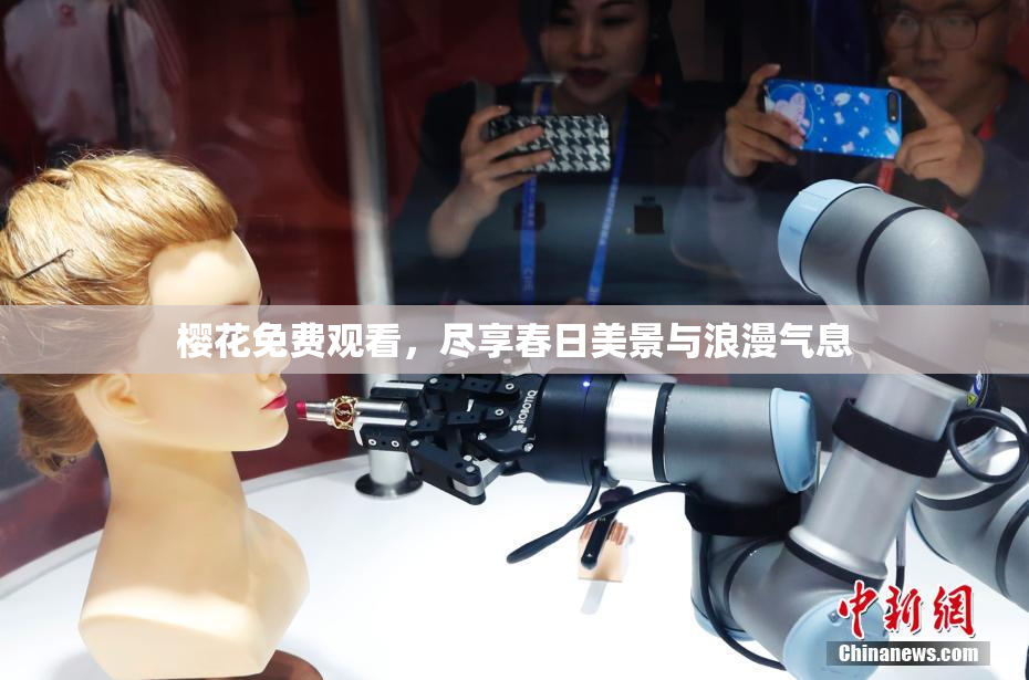 樱花免费观看，尽享春日美景与浪漫气息