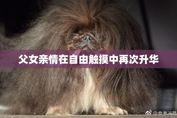 父女亲情在自由触摸中再次升华
