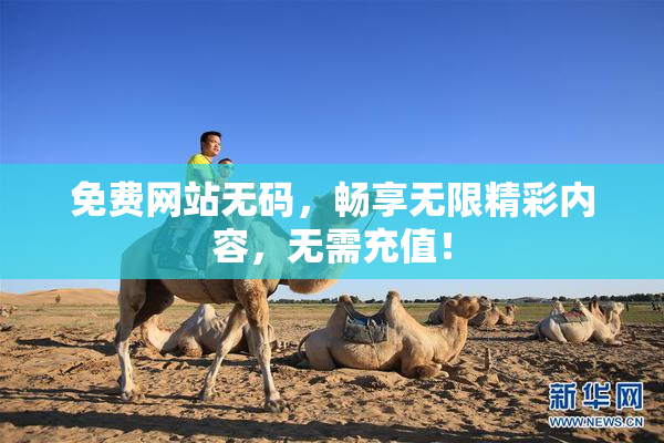 免费网站无码，畅享无限精彩内容，无需充值！