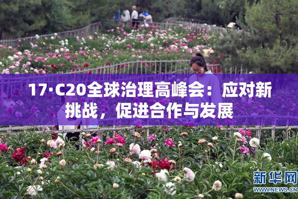 17·C20全球治理高峰会：应对新挑战，促进合作与发展