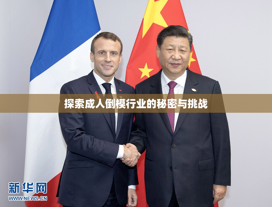 探索成人倒模行业的秘密与挑战