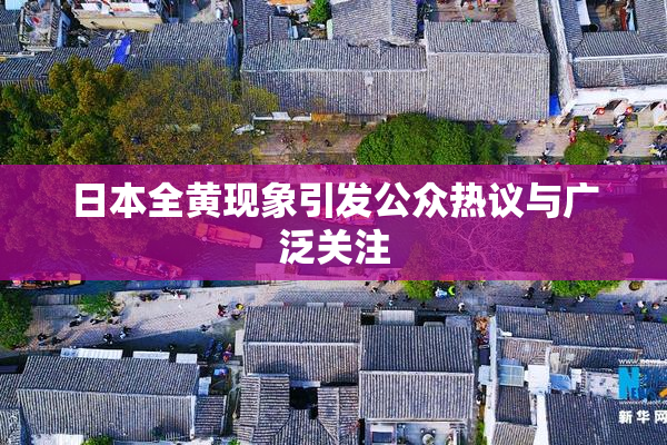 日本全黄现象引发公众热议与广泛关注