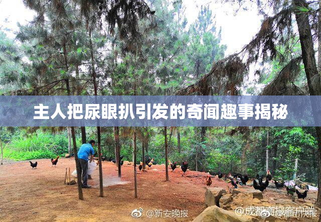 主人把尿眼扒引发的奇闻趣事揭秘