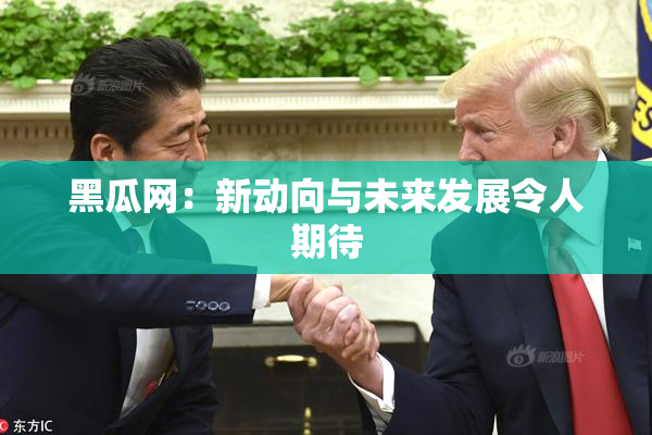 黑瓜网：新动向与未来发展令人期待